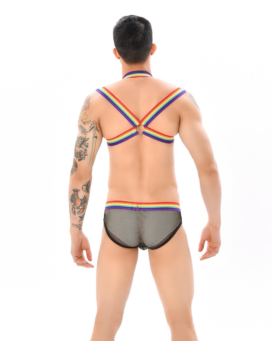 Teasewear Pride Edition Mesh Harness and Briefs Pack