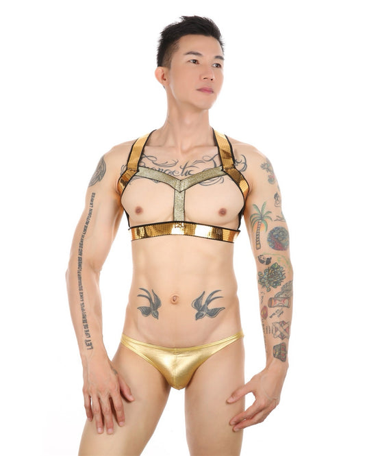 Teasewear Golden Circuit Party Harness Briefs Pack