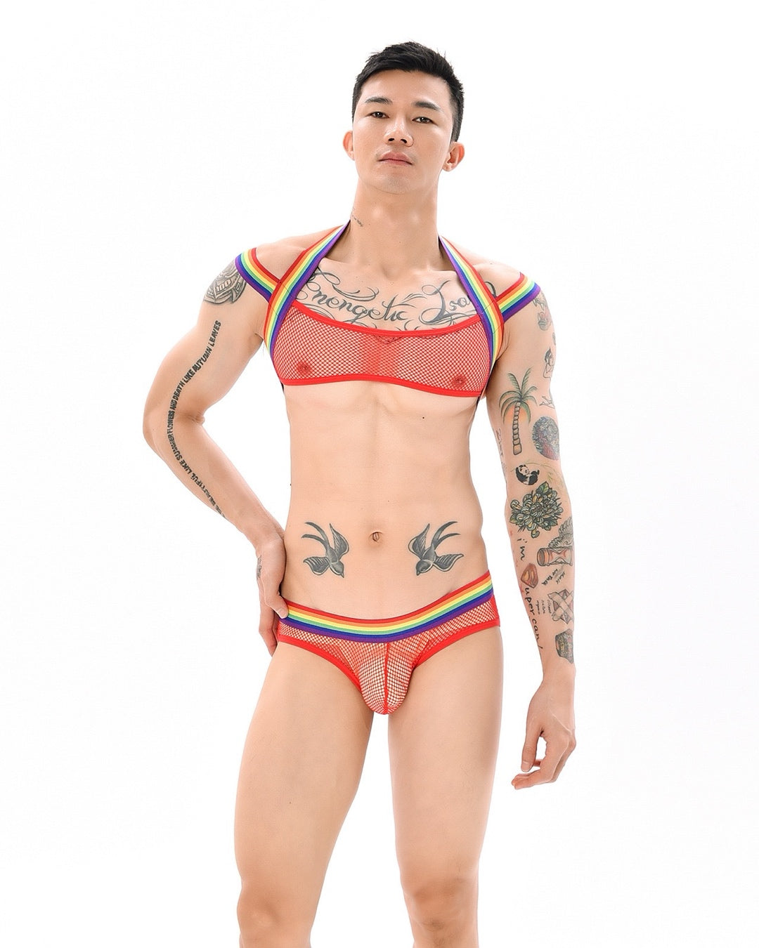 Teasewear Pride Edition Mesh Harness and Briefs Pack