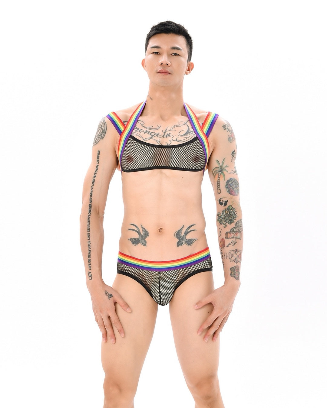 Teasewear Pride Edition Mesh Harness and Briefs Pack